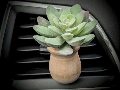 Succulent Aromatherapy Car Diffuser Vent Clip