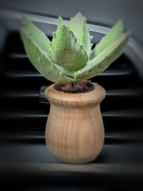 Succulents - Car Diffuser Freshy - Adjustable Vent Clips