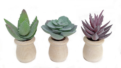 Car Diffuser Aroma Vent Clip - 3 Sweeties Succulents