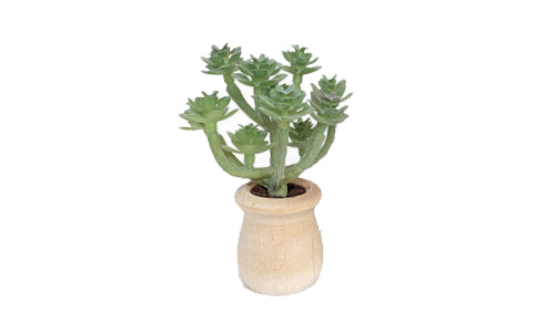 Succulents - Car Diffuser Freshy - Adjustable Vent Clips