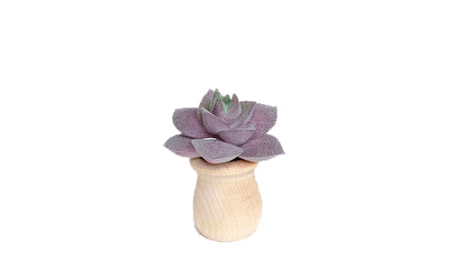 Succulents - Car Diffuser Freshy - Adjustable Vent Clips