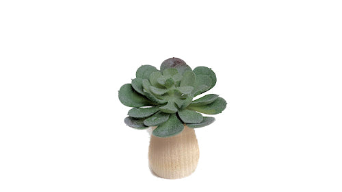 Succulents - Car Diffuser Freshy - Adjustable Vent Clips