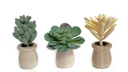 Succulents - Car Diffuser Freshy - Adjustable Vent Clips