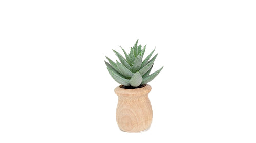 Succulents - Car Diffuser Freshy - Adjustable Vent Clips