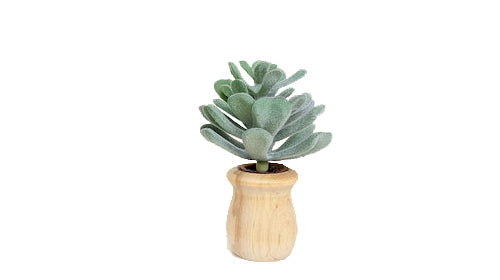 Succulents - Car Diffuser Freshy - Adjustable Vent Clips