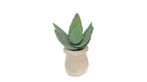 Succulents - Car Diffuser Freshy - Adjustable Vent Clips