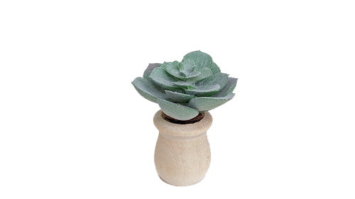 Succulents - Car Diffuser Freshy - Adjustable Vent Clips