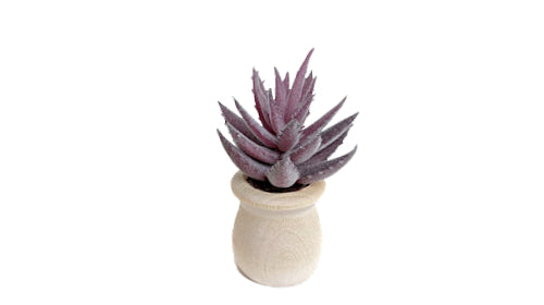 Succulents - Car Diffuser Freshy - Adjustable Vent Clips