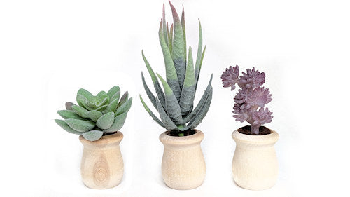 Succulent flower car diffuser aromatherapy vent clip