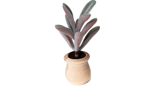 Succulents - Car Diffuser Freshy - Adjustable Vent Clips