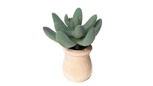 Succulents - Car Diffuser Freshy - Adjustable Vent Clips