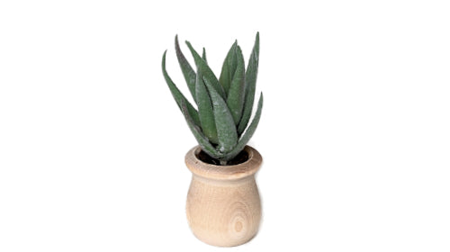Succulents - Car Diffuser Freshy - Adjustable Vent Clips