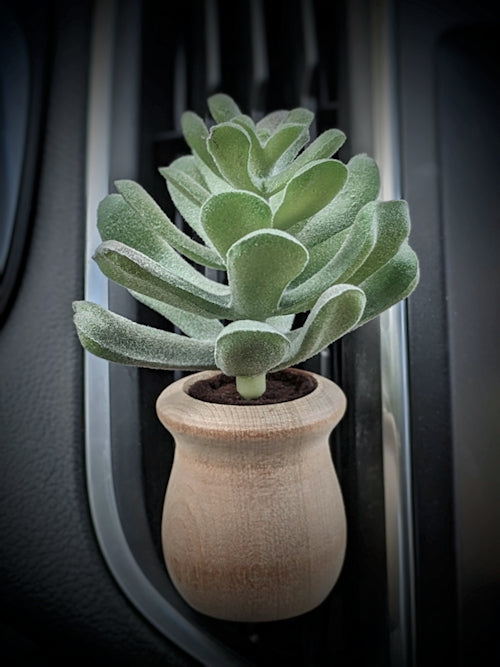 Succulents - Car Diffuser Freshy - Adjustable Vent Clips