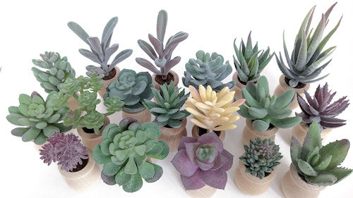 Aromatherapy Car Diffuser Vent Clip - Succulents in 18 different styles - all hand crafted in the USA by a local artisan