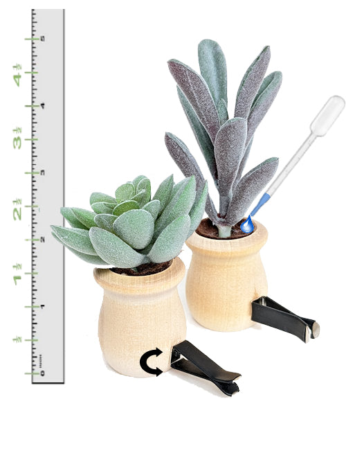 Aromatherapy Car Diffuser - succulents vent clip for essential oils