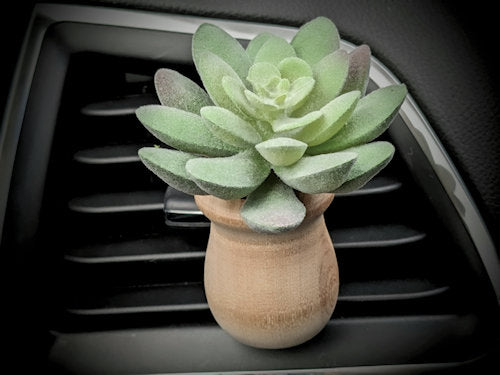 Succulents - Car Diffuser Freshy - Adjustable Vent Clips
